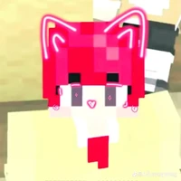 hiha bé mèo cute