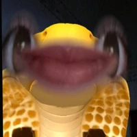 t/g cute dth s1 thế giới