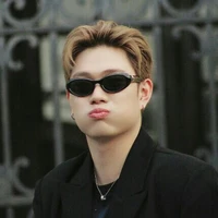 Trần Đăng Dương - Dương Domic