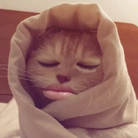 𝘊𝘩𝘪𝘱𝘱𝘰𝘯𝘨❗