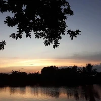 hân,tiên
