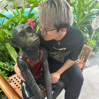 _bj ngáo_