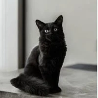 Trần Thảo Linh [dạng mèo ]