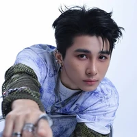Lê Hồng Sơn