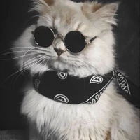 Tác giả bị khùm