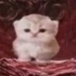 HE