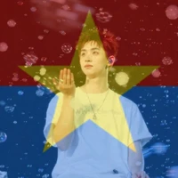 học ngoo môn văn