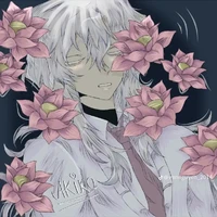 hiha Hologram