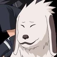 Akamaru
