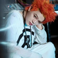 Nguyễn Quang anh ( mèo )