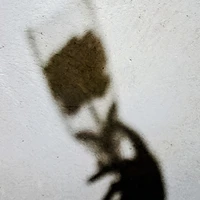 t/g(hay sai chính tả) 😋