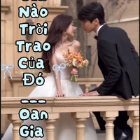 Tác giả