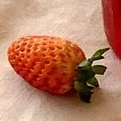 tất cả người chơi(trừ những người cần)