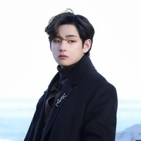 Kim Taehyung