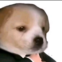 Chủ tus
