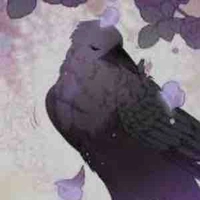 Fuji (quạ của Akiko)