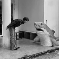 ơ vlaam đấy hảa? 🤏🏻