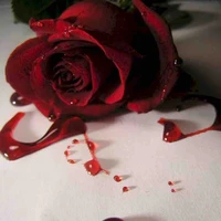 ♦️?BL03d¿♦️《nhím không gai ck t/g》