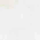 Nhóm bn chs chung các anh 