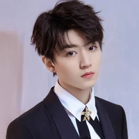 Vương Tuấn Khải (thanh tra)