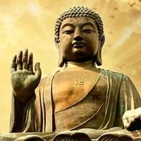 Thái cốt của Vy cũng là cục cưng của tg