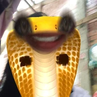 vịt nè mấy chế