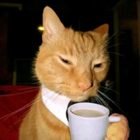 (tác giả nè) bonnie_mok1