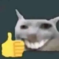 nvp