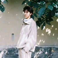 Lưu Diệu Văn-Anh