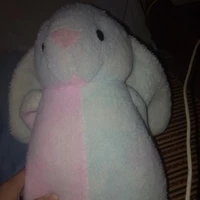 con gấu của cậu