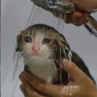 t/g sai đẹp triêu