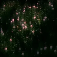 chấp hết các loại nhân vật