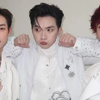 Vương Bình_Ngô Nguyên Bình