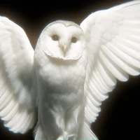 Hệ thống - 1945-1991