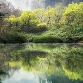 tác giả bị khùng