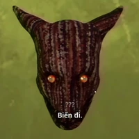 ????( éo biết là gì)