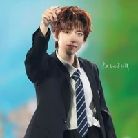 Hạ Tuấn Lâm (em)