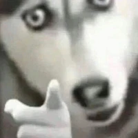 khách hàng // là thượng đế//