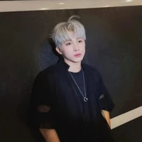 lê hồng sơn - sơn k