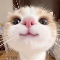 T/G