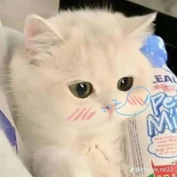 t/gcuti