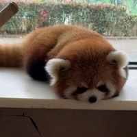 Lily ( hệ thống )