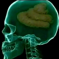 cân mọi nhv phụ