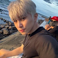 Lê Hồng Sơn