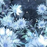 °Nguyệt Liên°[t/g]