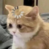 Hệ thống meo meo có bồ:)))