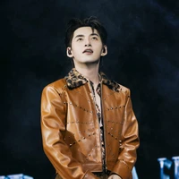 Huỳnh Hoàng Hùng-Gemmini