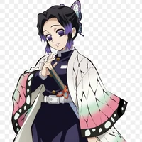 kochou shinobu(trùng trụ)