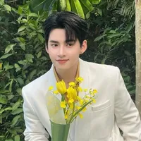 Hoàng Hùng Huỳnh - Gemini