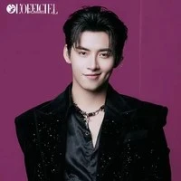 HUỲNH HOÀNG HÙNG(gem mini hùng huỳnh )